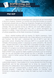 PhD Statement of Purpose Sample