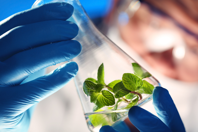 statement of purpose sample for phd in biotechnology online